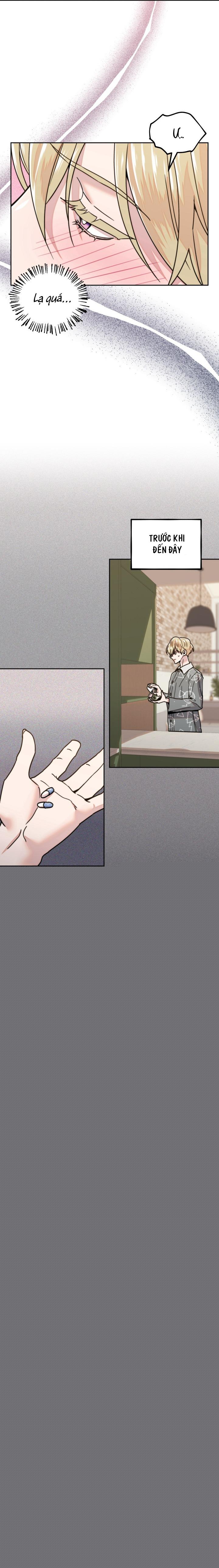 Đọc truyện CÔNG CHÚA NHÀ BÊN - Chapter 8