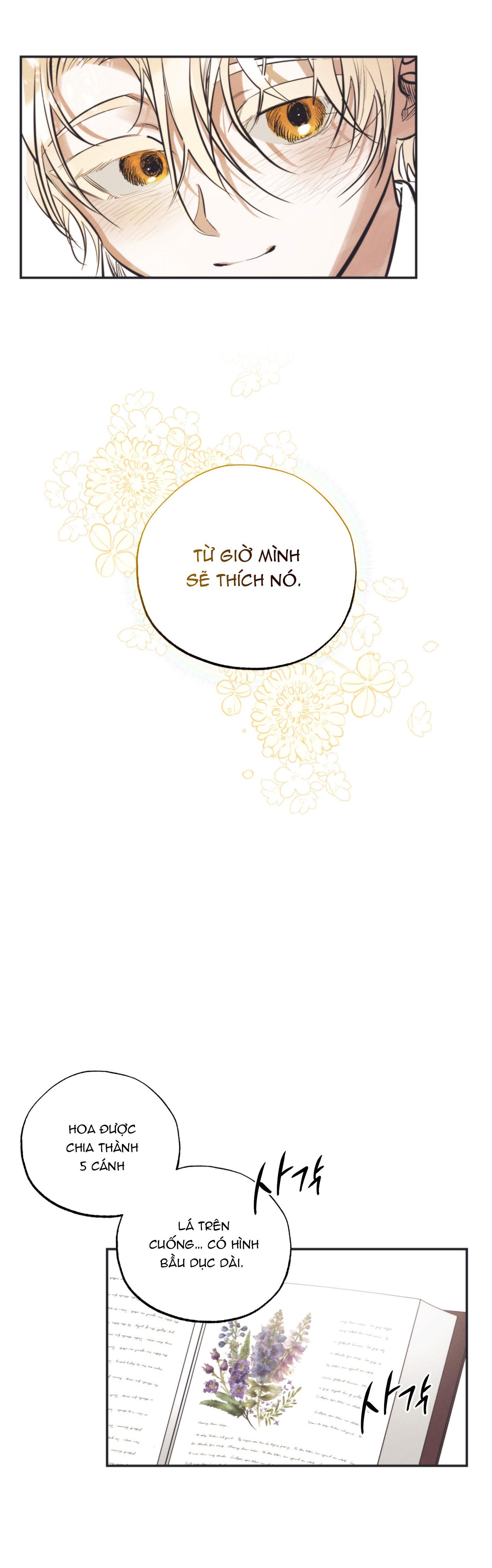 Đọc truyện VƯỜN HOA CỦA ESTHER - Chapter 1