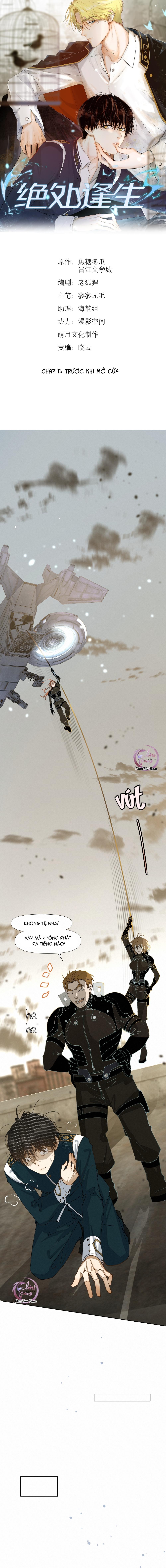 Đọc truyện Tuyệt Xử Phùng Sinh - Chapter 11