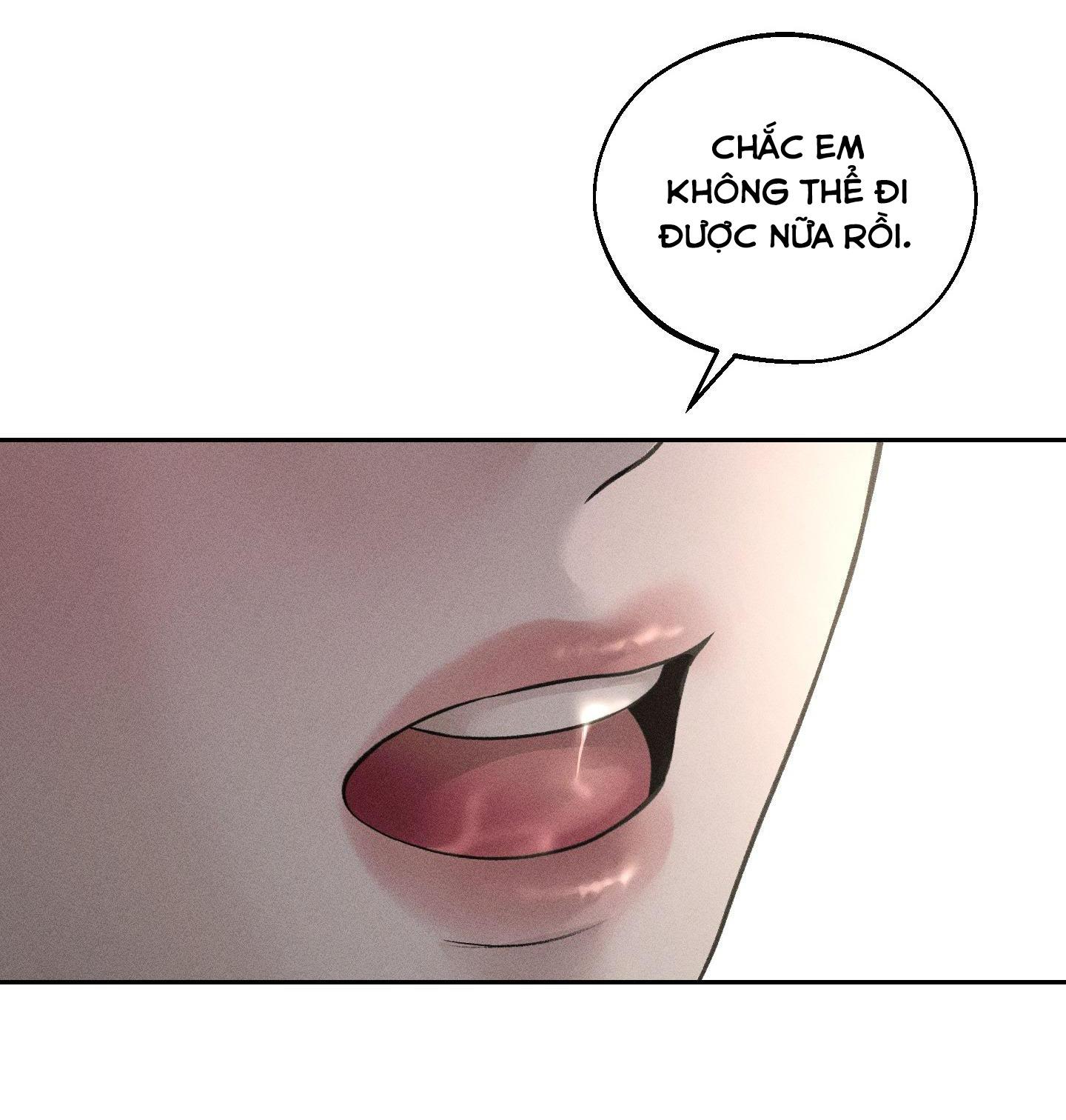 Đọc truyện MÁU ĐỔ - Chapter 4