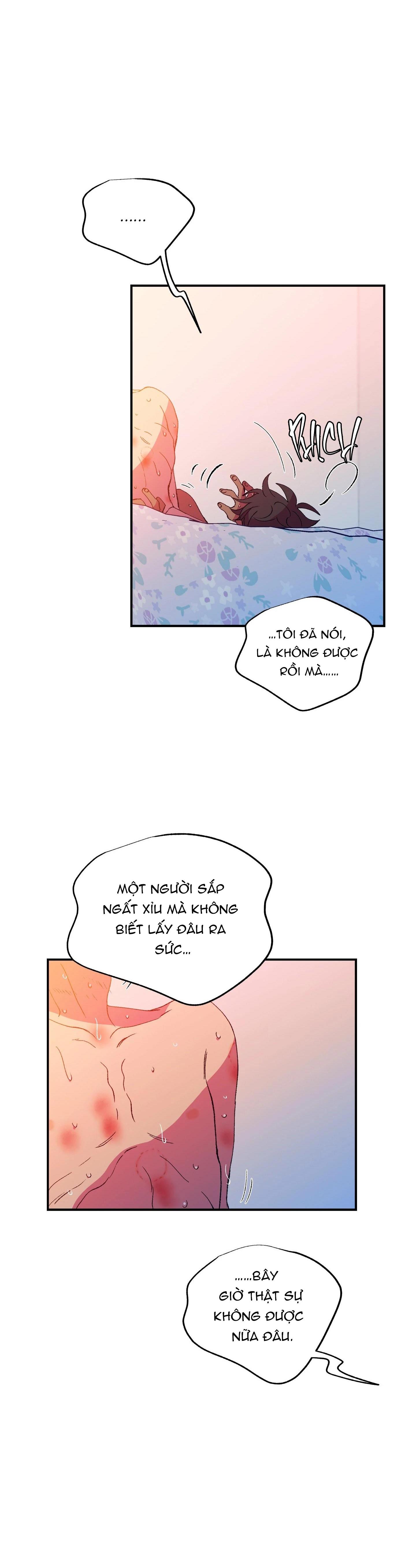 Đọc truyện ÔNG CHÚ BÊN CỬA SỔ - Chapter 68