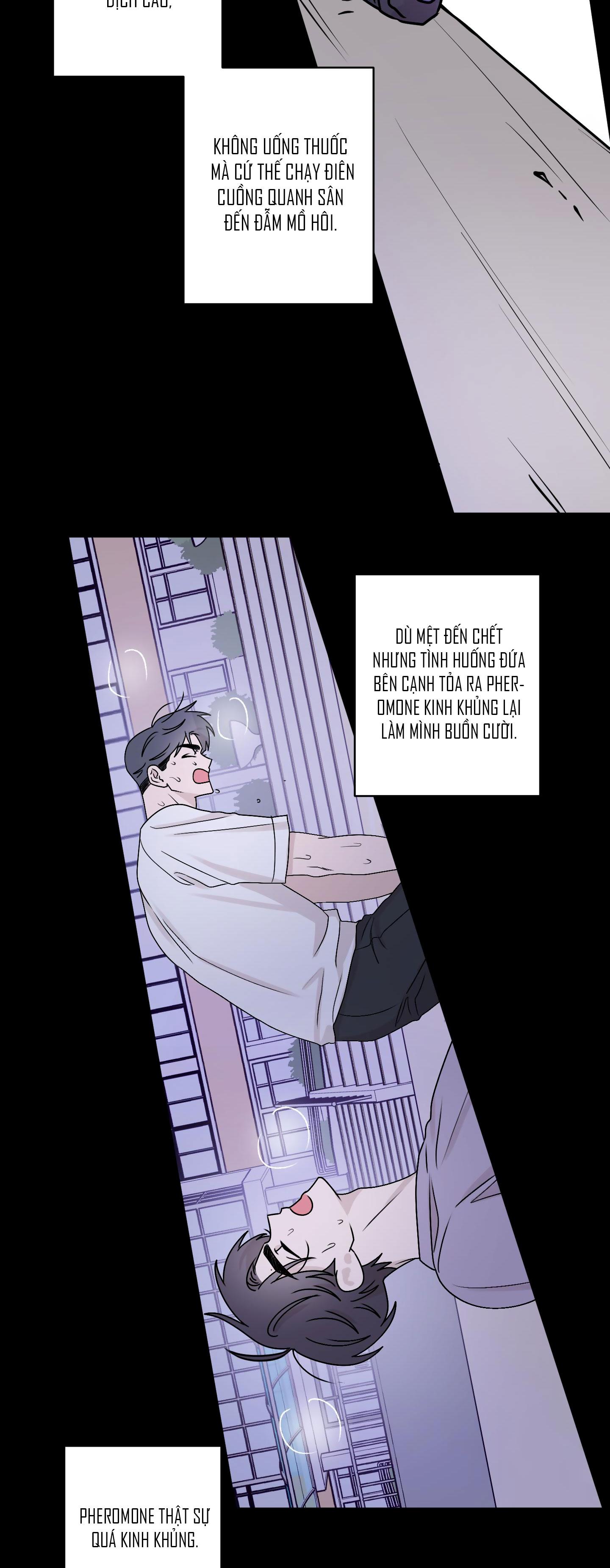 Đọc truyện CHUYỆN TÌNH ALPHA - Chapter 1