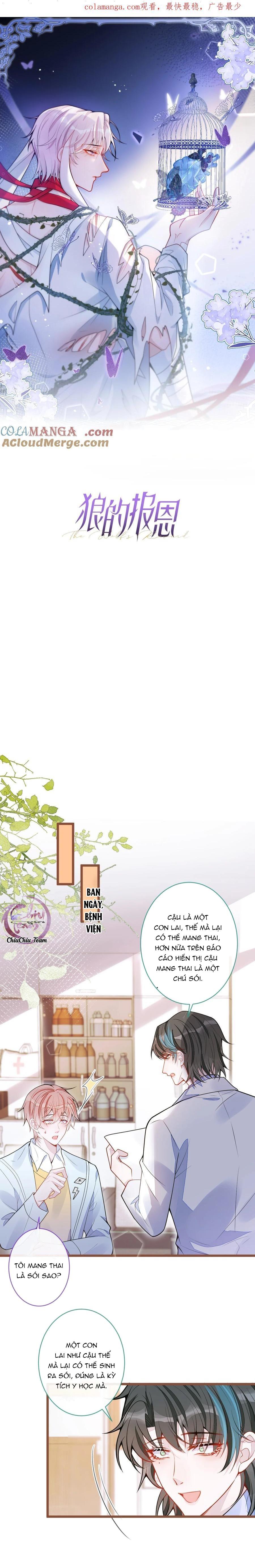 Đọc truyện Sói Báo Ơn (END) - Chapter 66