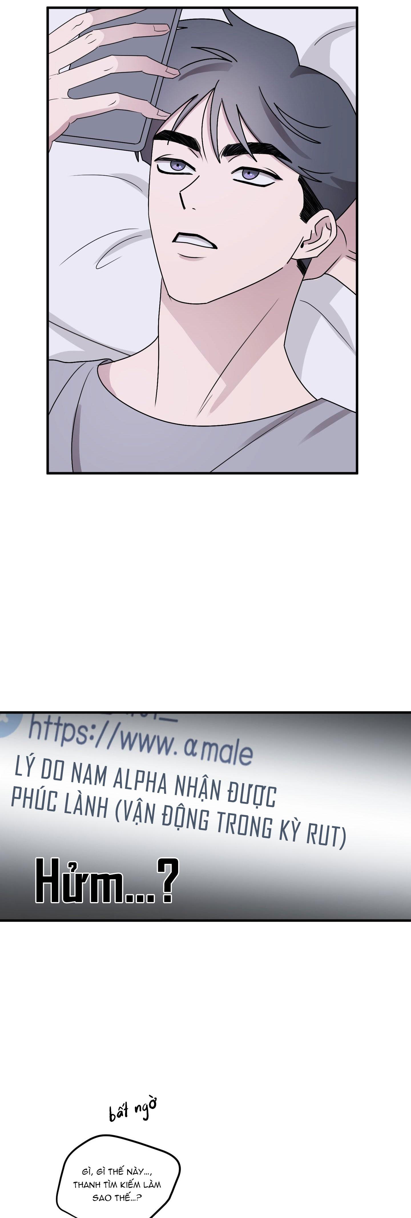 Đọc truyện CHUYỆN TÌNH ALPHA - Chapter 7