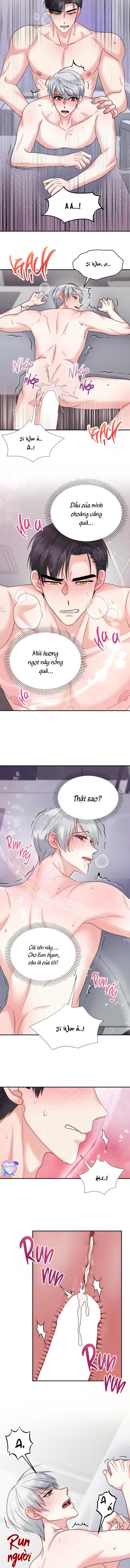 Đọc truyện ĐÂY LÀ CHÚ THỎ MÀ BẠN (KHÔNG) ĐÃ ĐẶT HÀNG - Chapter 15