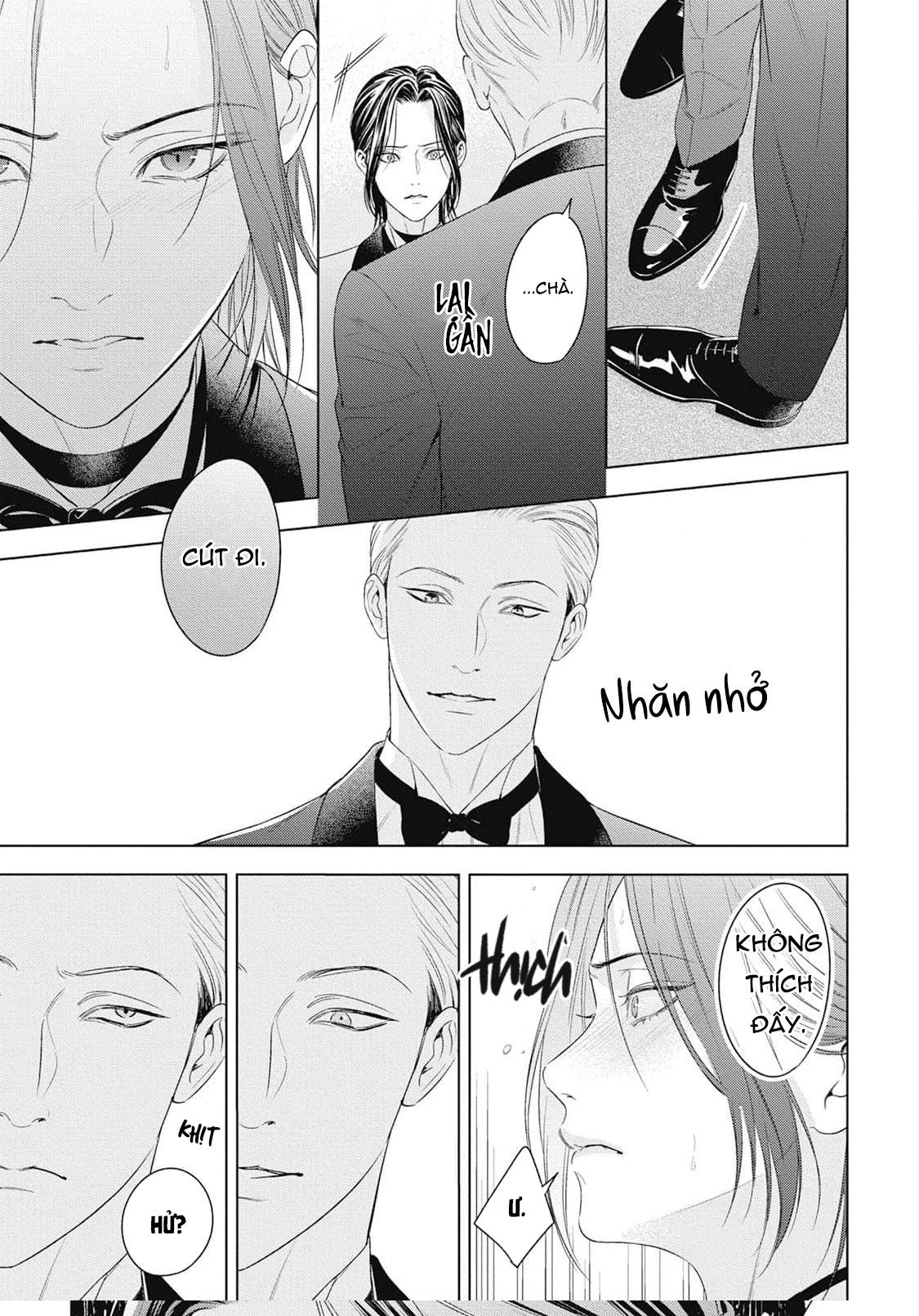 Đọc truyện Hòa thanh dưới ánh nến hoa cùng tình yêu của Omega - Chapter 1