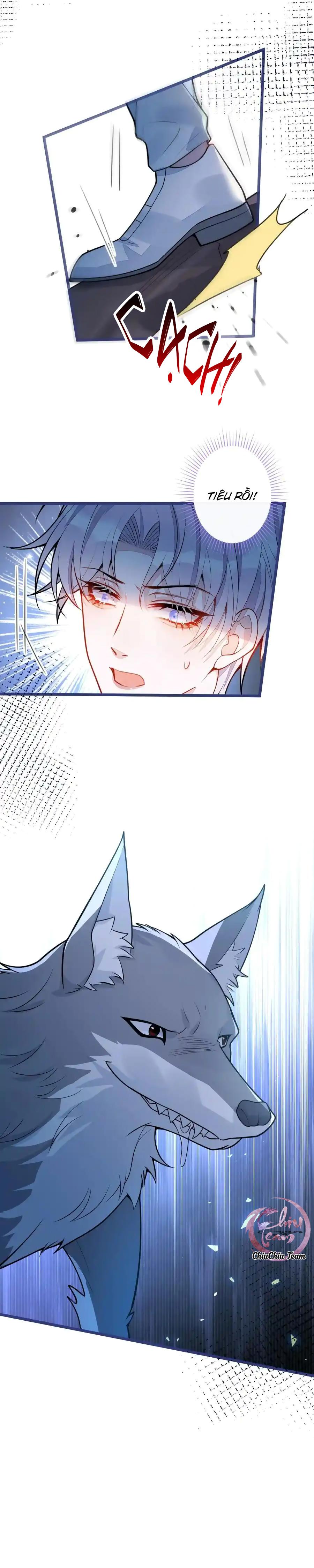 Đọc truyện Sói Báo Ơn (END) - Chapter 56