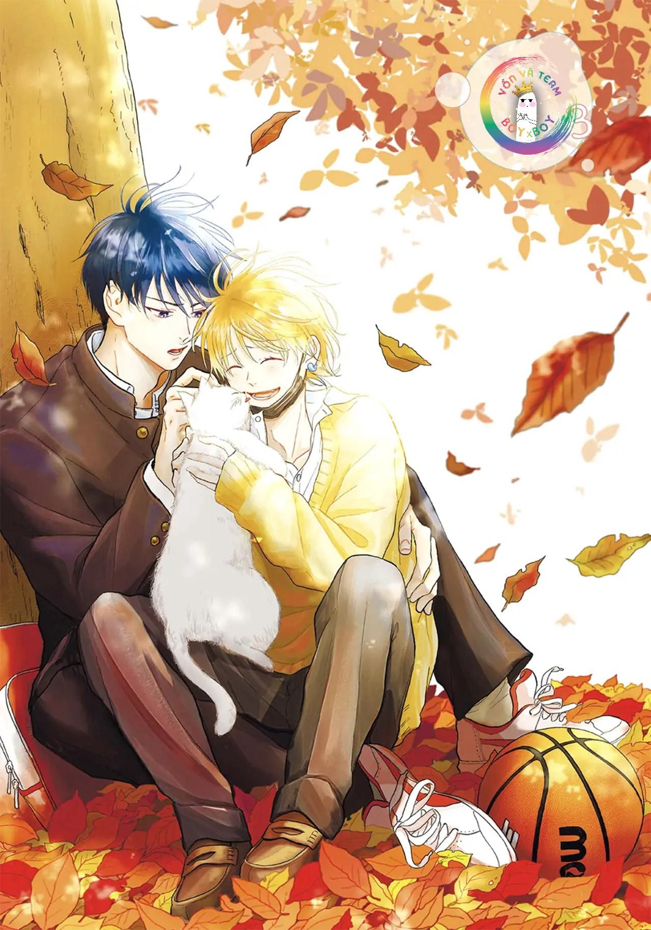 Đọc truyện Đợi Chút Đã, Harutora-kun (END) - Chapter 3