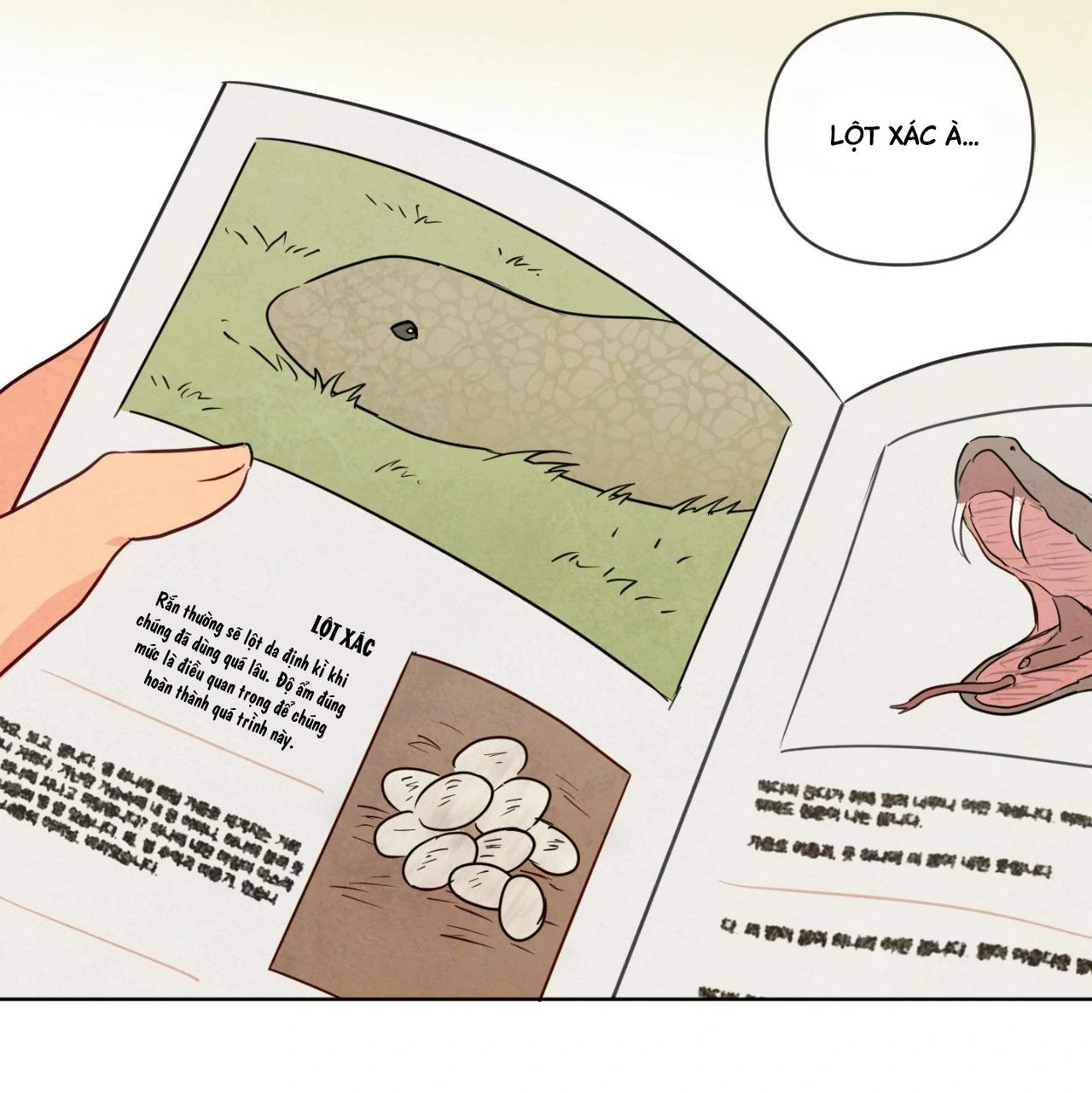 Đọc truyện Sự quyến rũ của Thần Rắn - Chapter 22