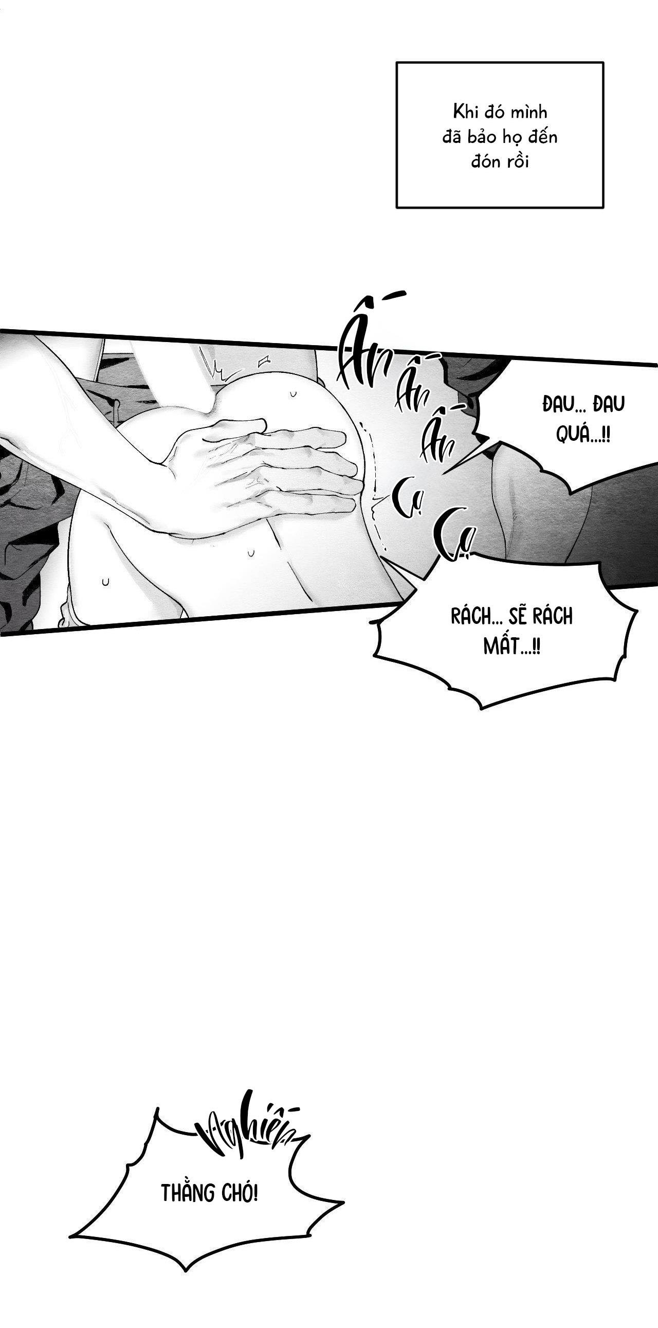 Đọc truyện  Vóc Dáng Toàn Mỹ - Chapter 15