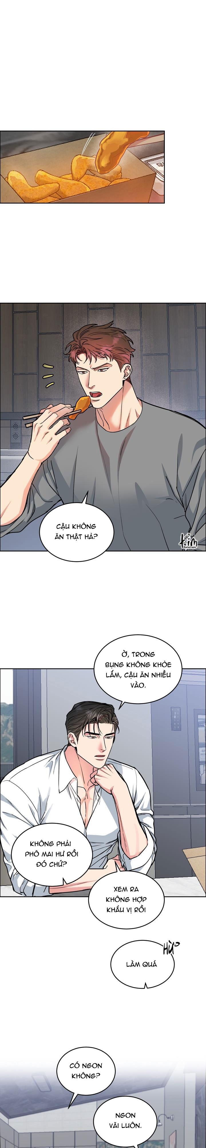 Đọc truyện CHÓ VÀ CHIM - Chapter 31