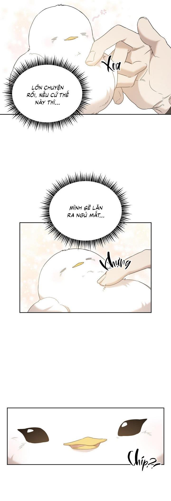 Đọc truyện Xin Người Đừng Nhấn - Chapter 5