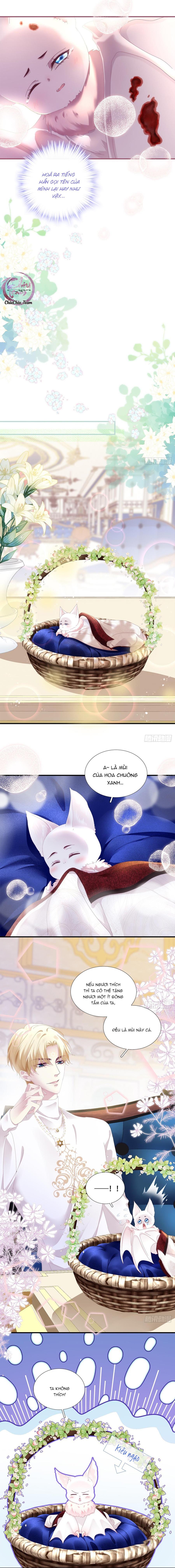 Đọc truyện Thánh Tâm không dễ chọc - Chapter 5