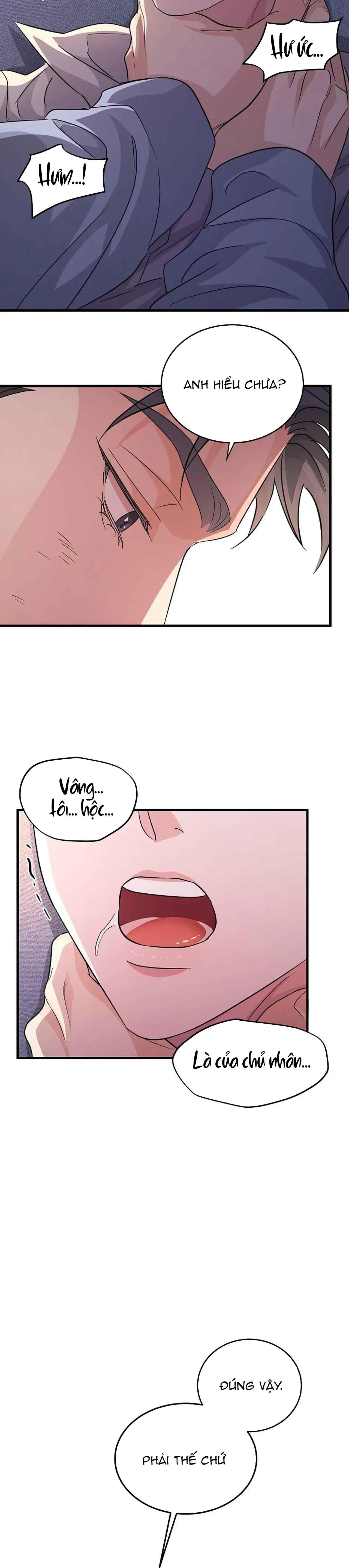 Đọc truyện RIVER OF BONDAGE - Chapter 21