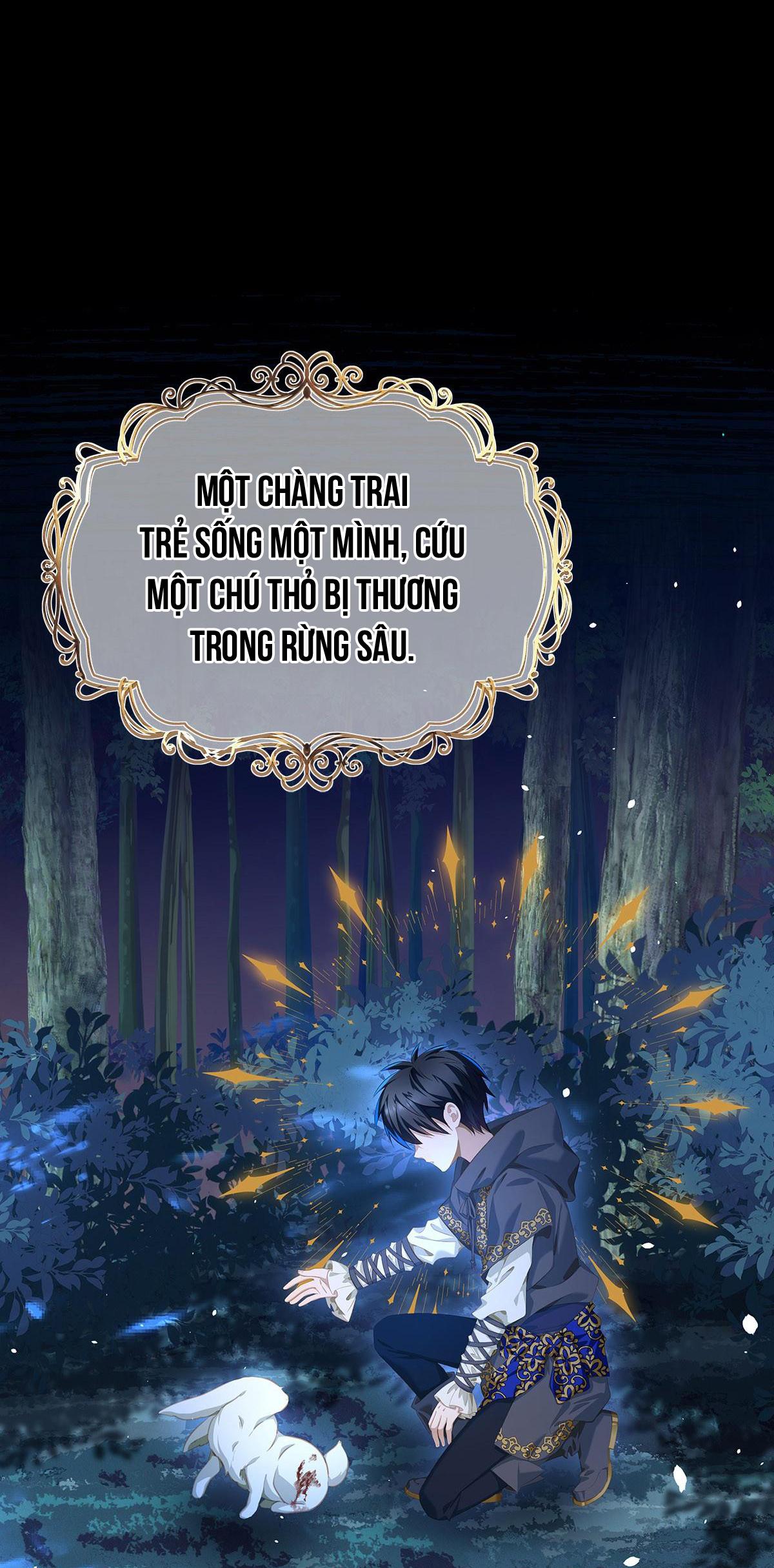 Đọc truyện Tôi trùng sinh thành chú rồng đen của vương tử điện hạ - Chapter 6