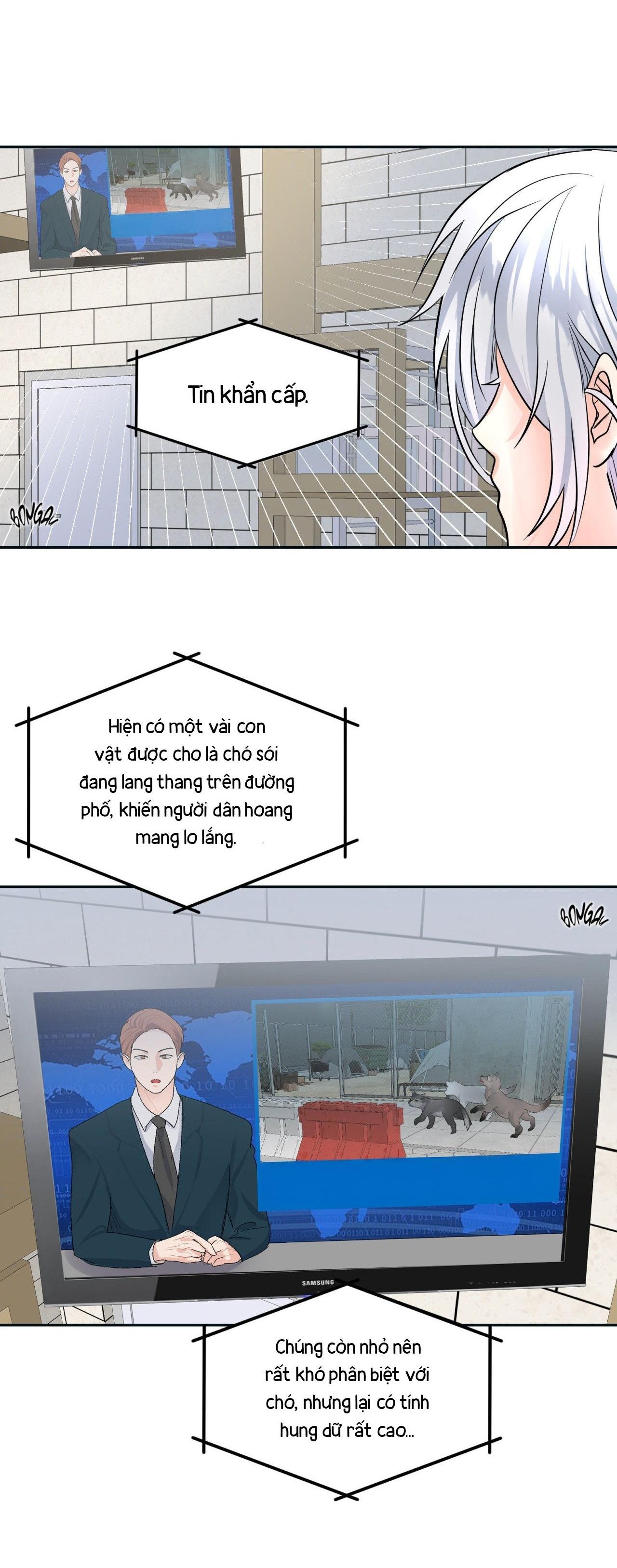 Đọc truyện Hãy ôm em khi trăng rằm lên - Chapter 8