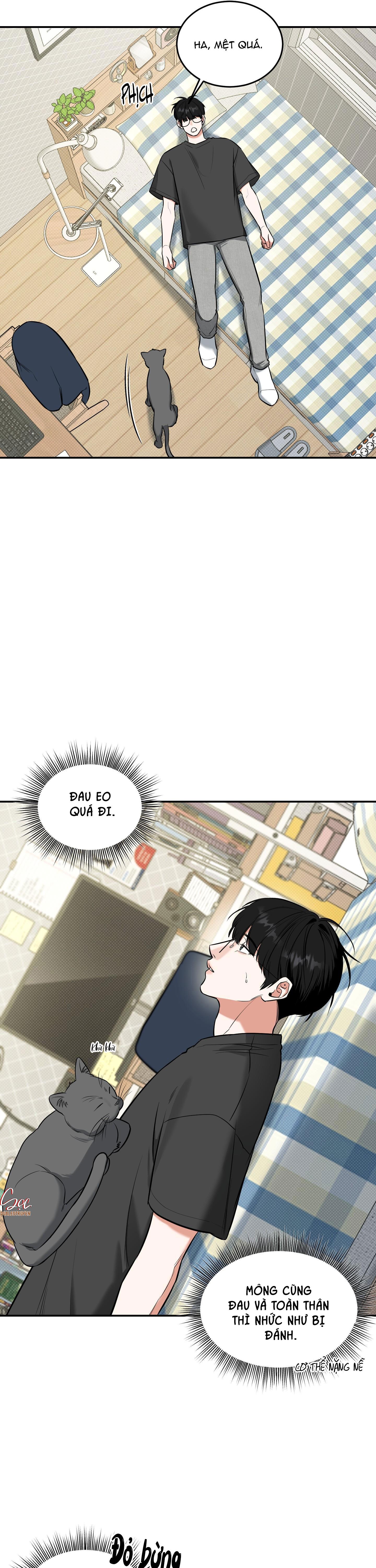 Đọc truyện (ABO) FEEL MY BENEFIT - Chapter 11