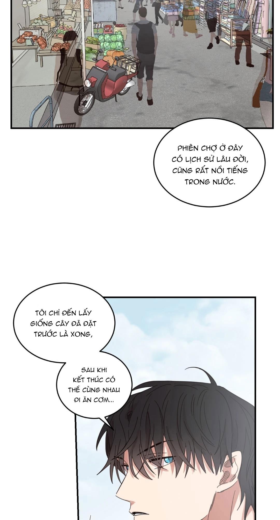 Đọc truyện NGÔI NHÀ HƯỚNG MẶT TRỜI MỌC - Chapter 19