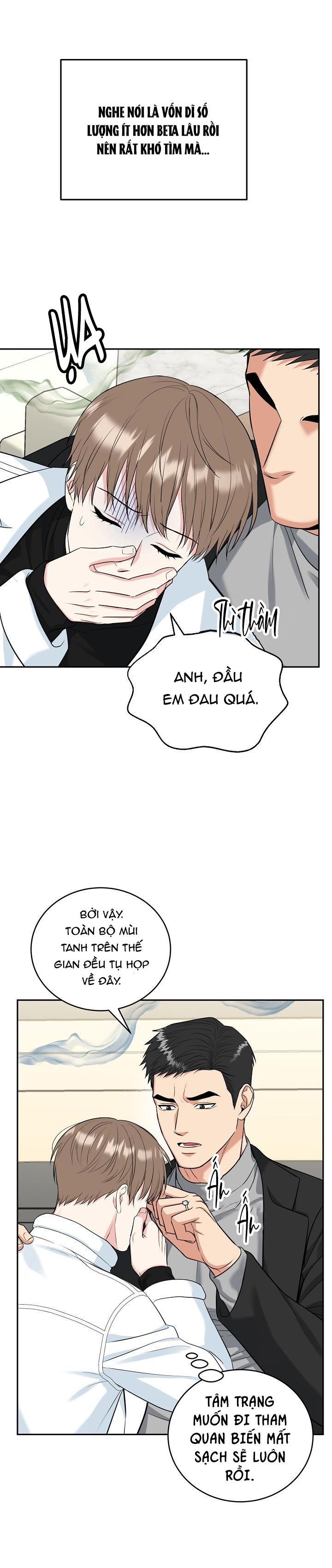 Đọc truyện (ABO) HANG HỔ - Chapter 54