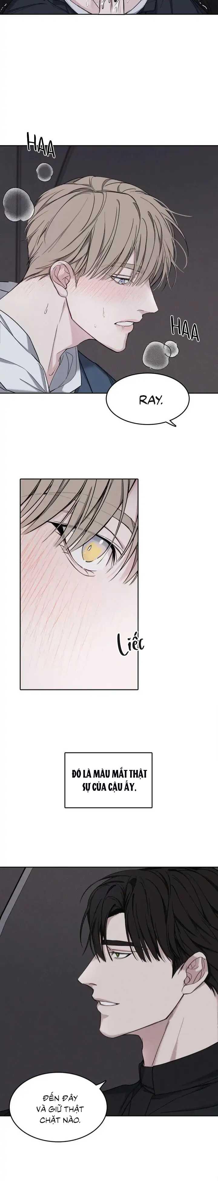 Đọc truyện Đêm Xưng Tội - Chapter 1