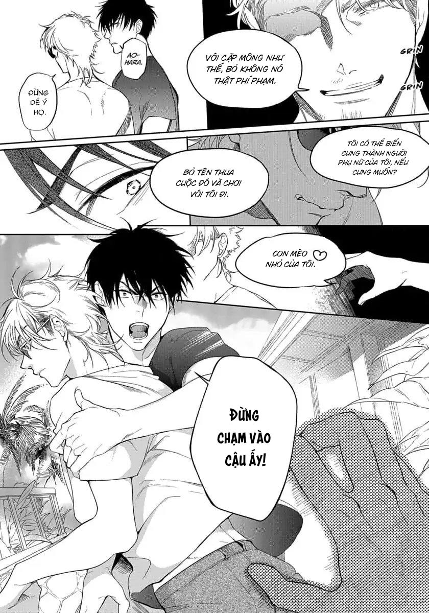 Đọc truyện On Top Trên Bãi Biển - Chapter 5