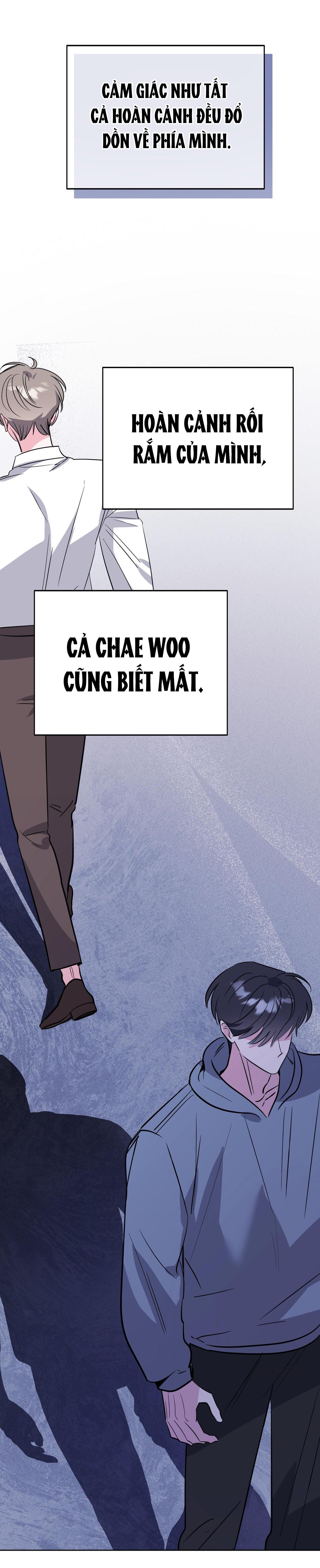 Đọc truyện CẠM BẪY ĐẠI HỌC - Chapter 97