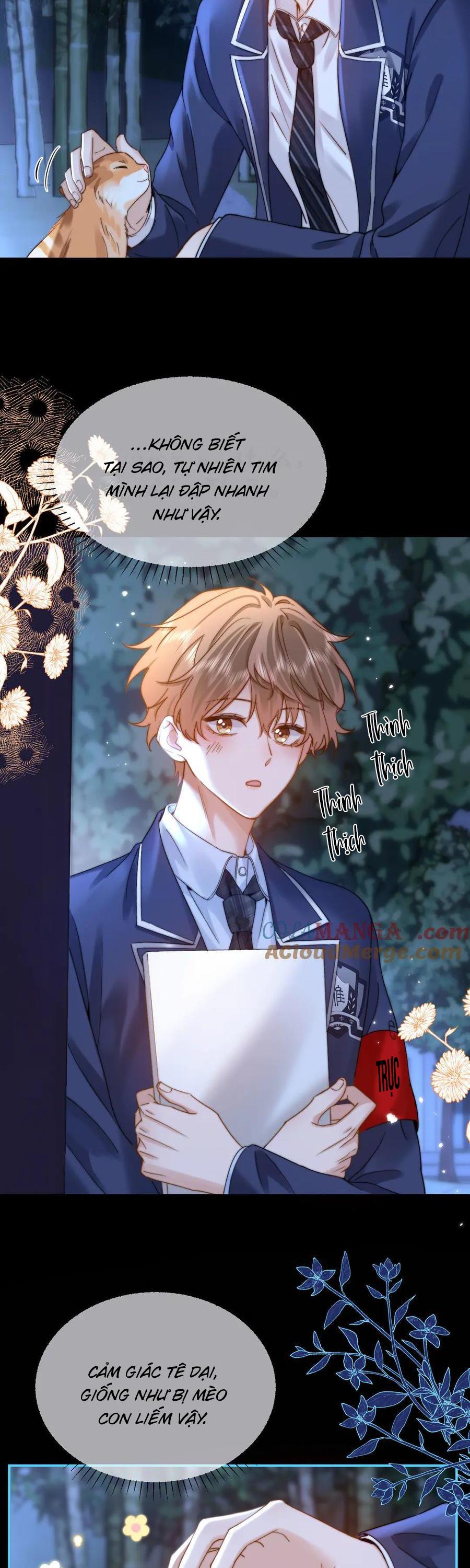 Đọc truyện Chất Dị Ứng Đáng Yêu - Chapter 58