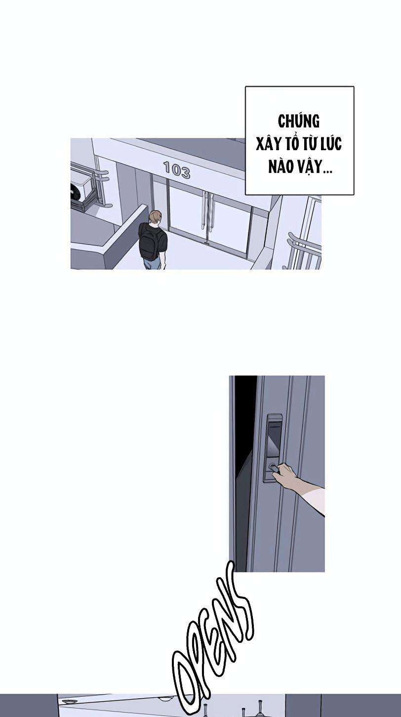 Đọc truyện Đường Chim Bay - Chapter 1