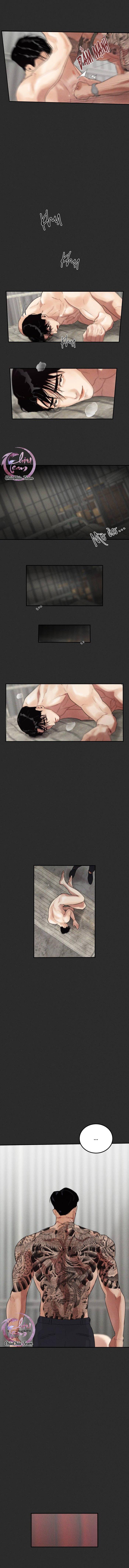 Đọc truyện Chó Của Kẻ Khác - Chapter 3