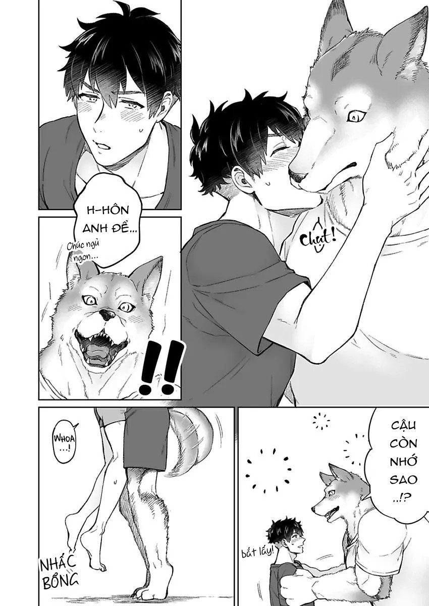 Đọc truyện Chồng sói chẳng chịu ngủ cùng tôi - Chapter 1