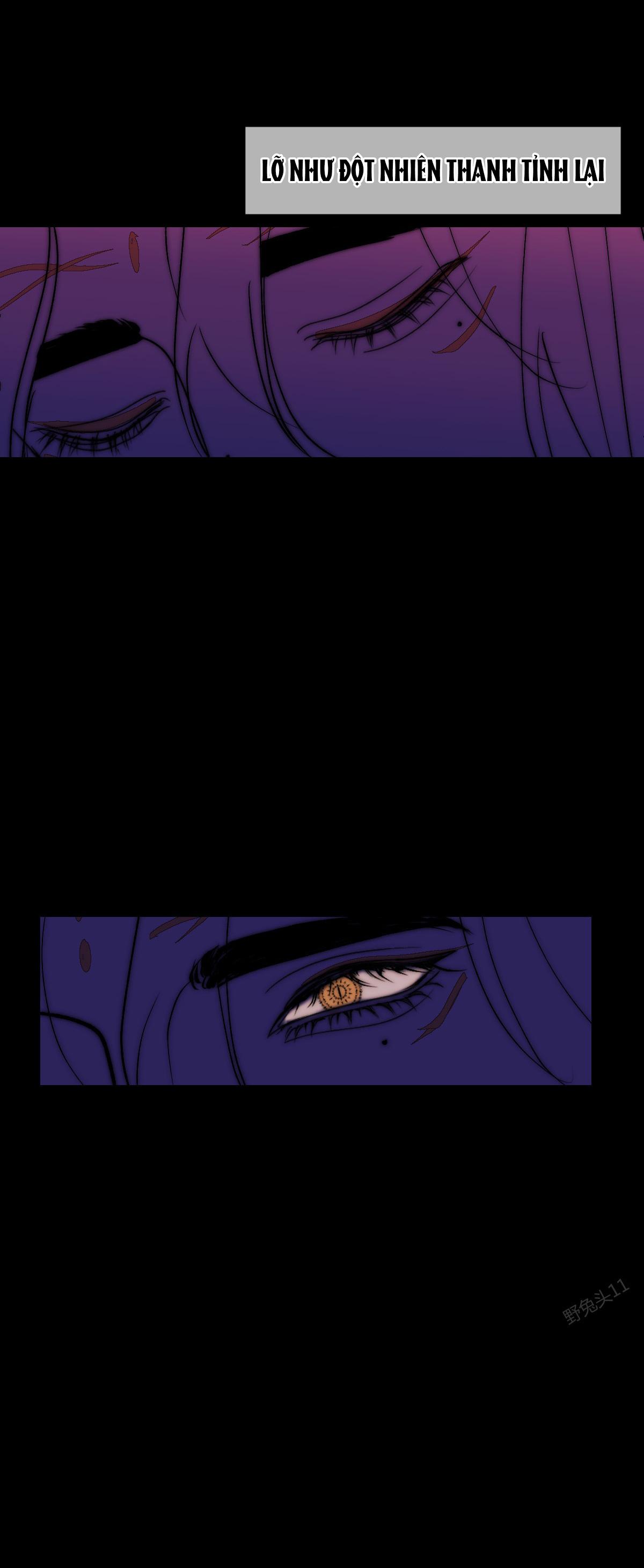 Đọc truyện Vài Câu Chuyện Với Sư Tôn Sau Khi Xuyên Sách - Chapter 65