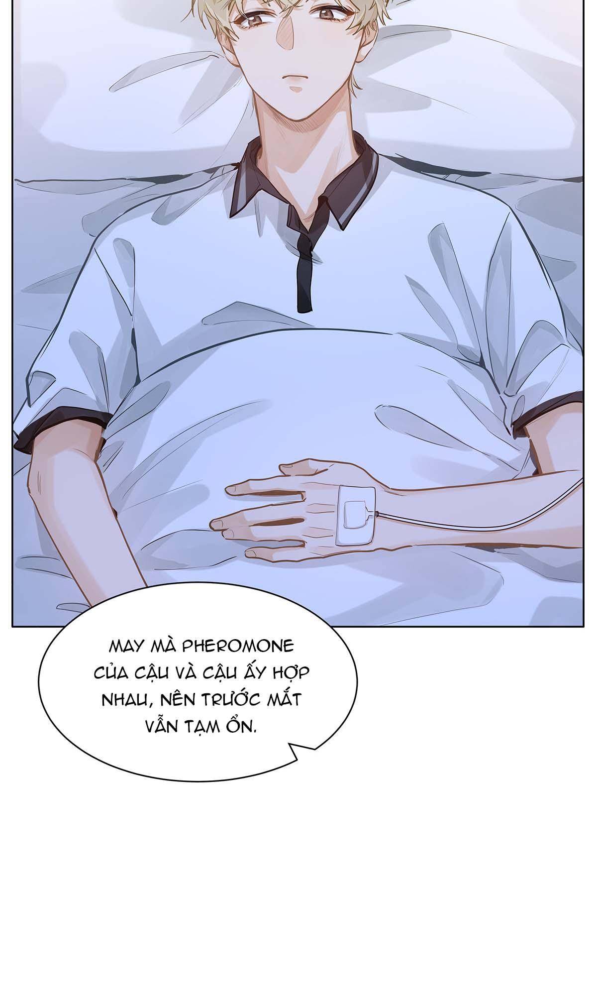 Đọc truyện Tôi Thích Pheromone Của Cậu - Chapter 53