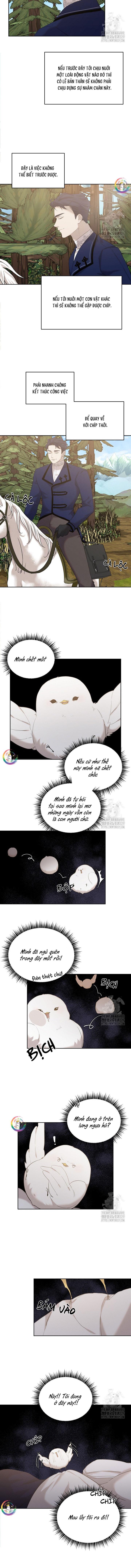 Đọc truyện (END) Này, Đừng Có Nhấn Cái Nút Đó! - Chapter 9