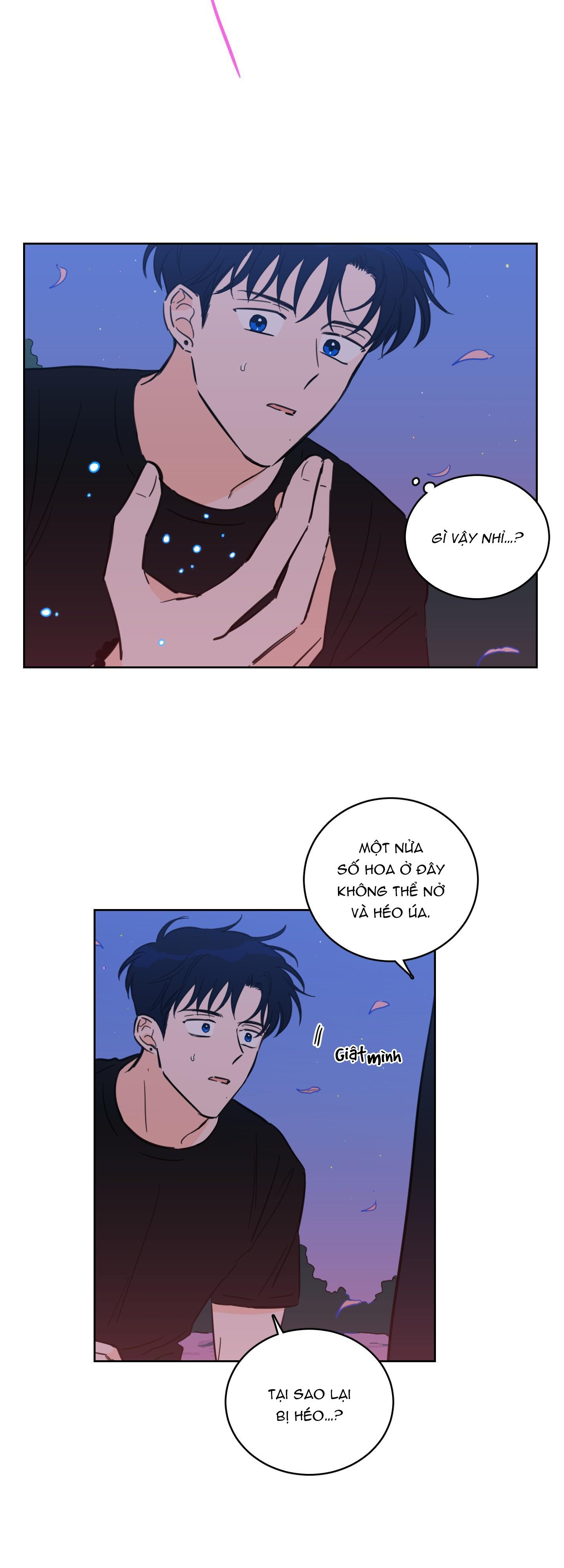 Đọc truyện Mẹo Thuần Hóa Hổ - Chapter 67