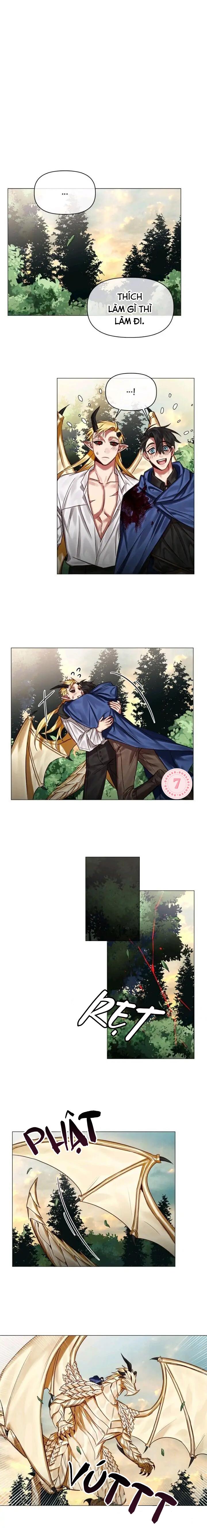 Đọc truyện [Hoàn] Chàng Hiệp Sĩ Và Rồng Vàng - Chapter 28