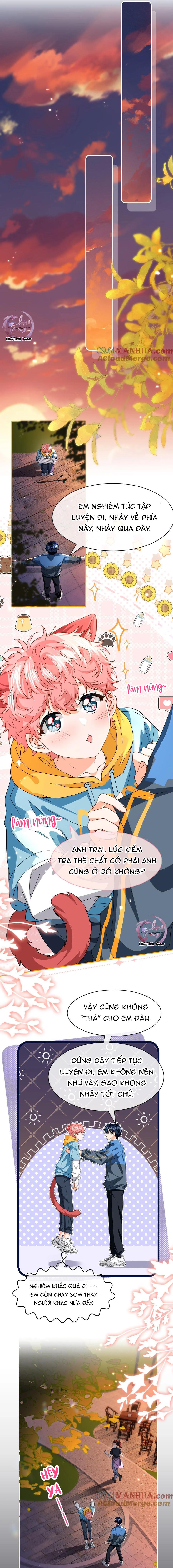 Đọc truyện Tin Tức Tố Nói Chúng Ta Không Có Khả Năng - Chapter 100