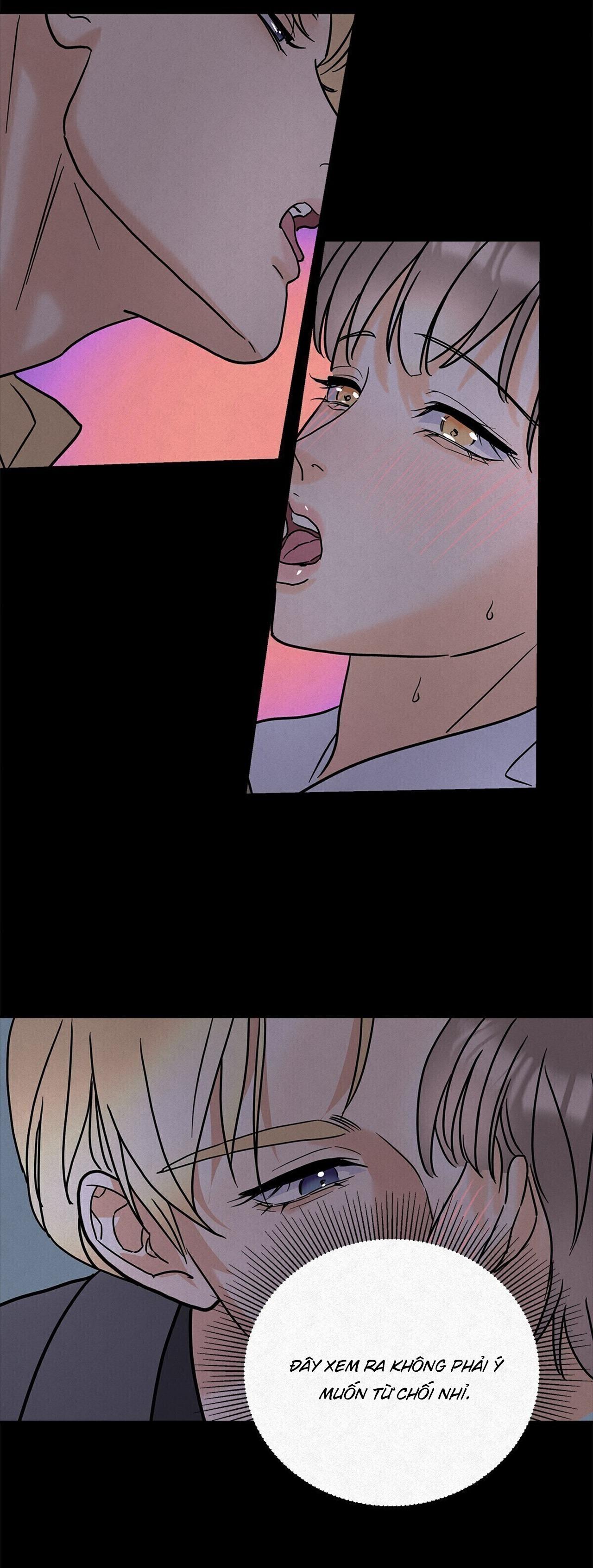 Đọc truyện Anh Trai Rẻ Tiền Của Tôi (END) - Chapter 11