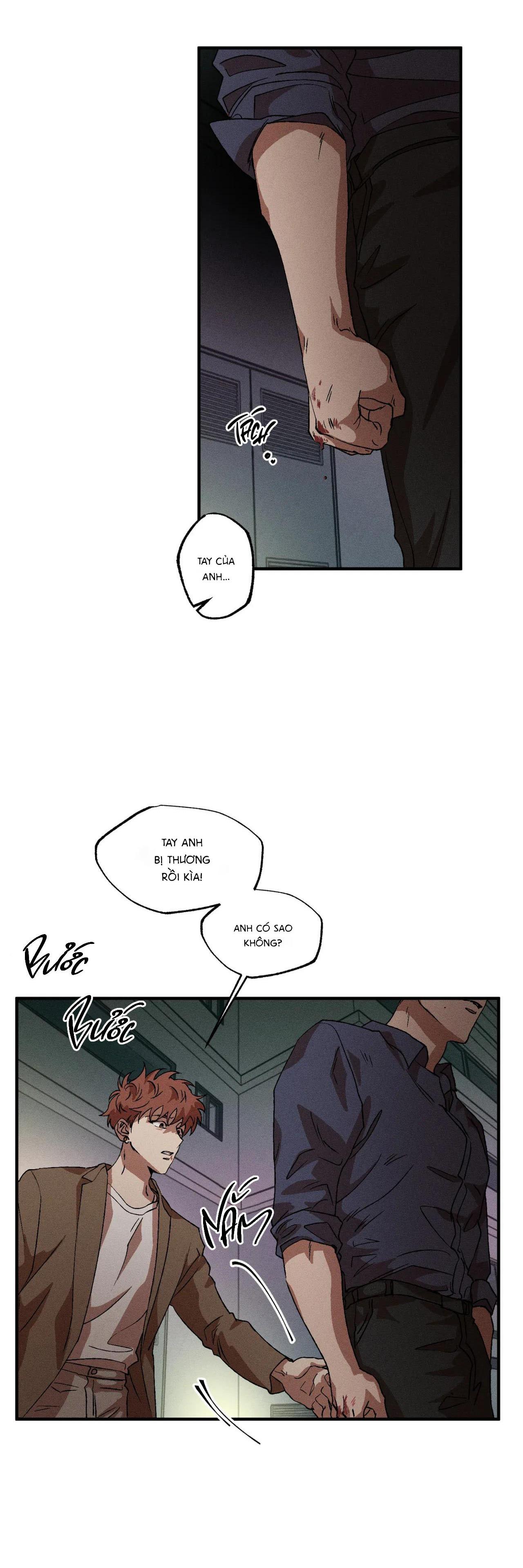 Đọc truyện  Bẫy Đôi Ngọt Ngào - Chapter 56