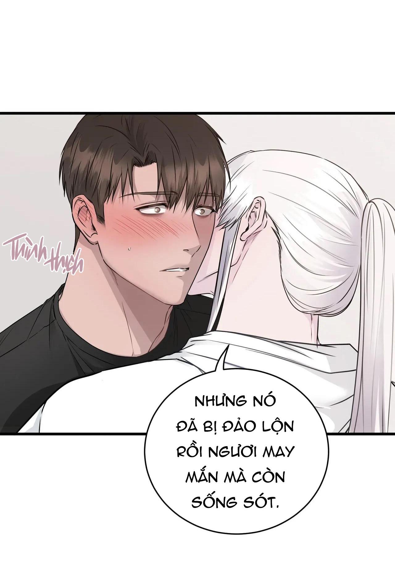 Đọc truyện Rắn Và Ân Nhân - Chapter 4