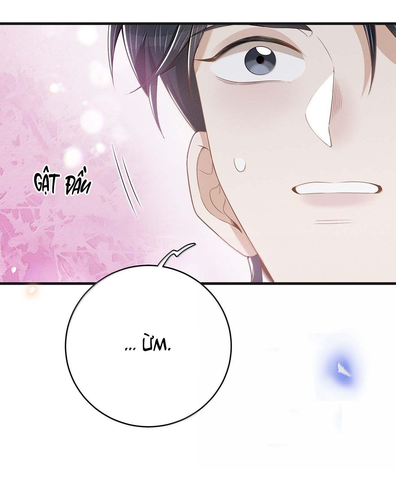 Đọc truyện Lai sinh bất kiến - Chapter 147