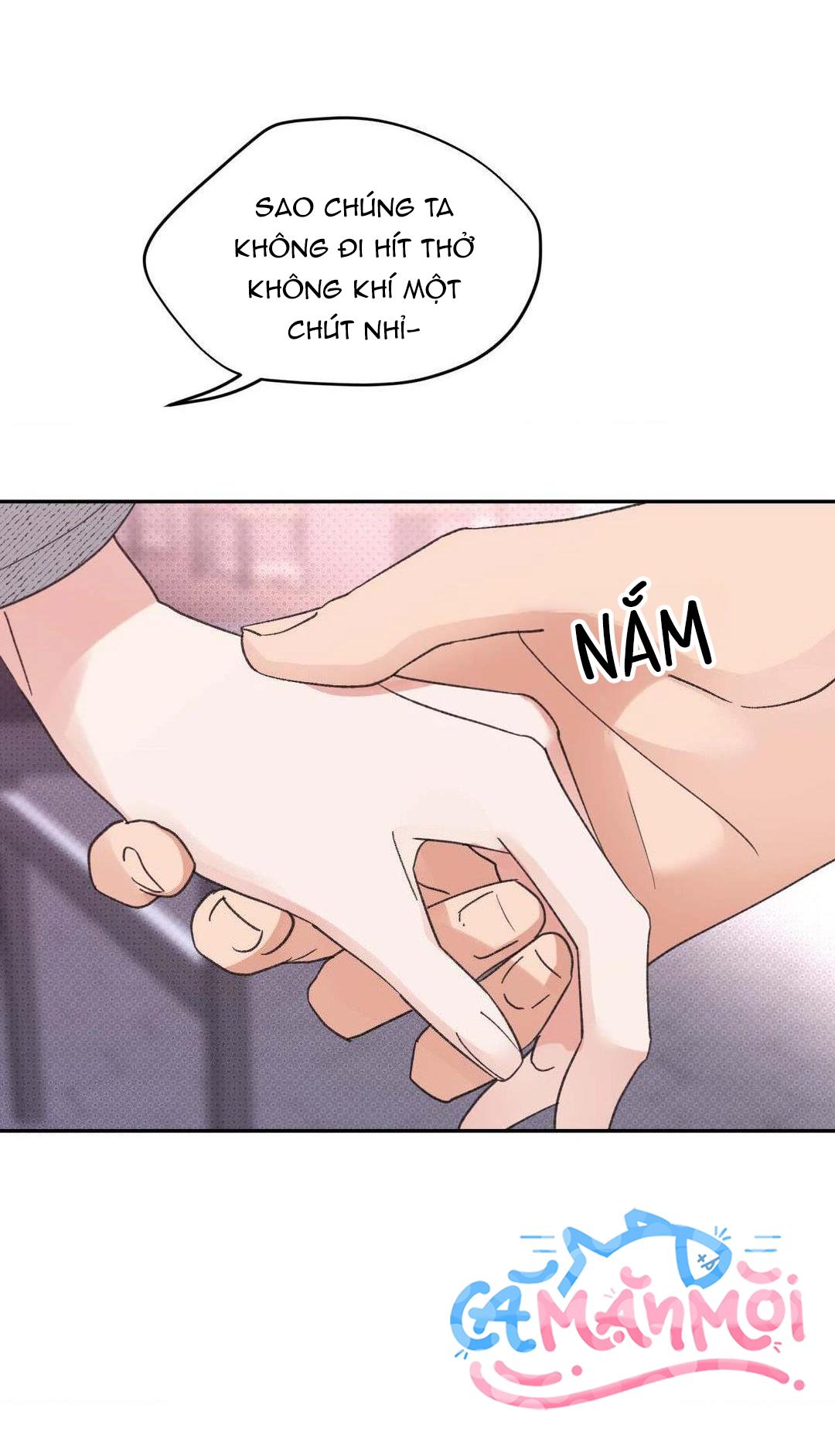 Đọc truyện Chiếc Lá Lay Động Theo Giai Điệu - Chapter 15