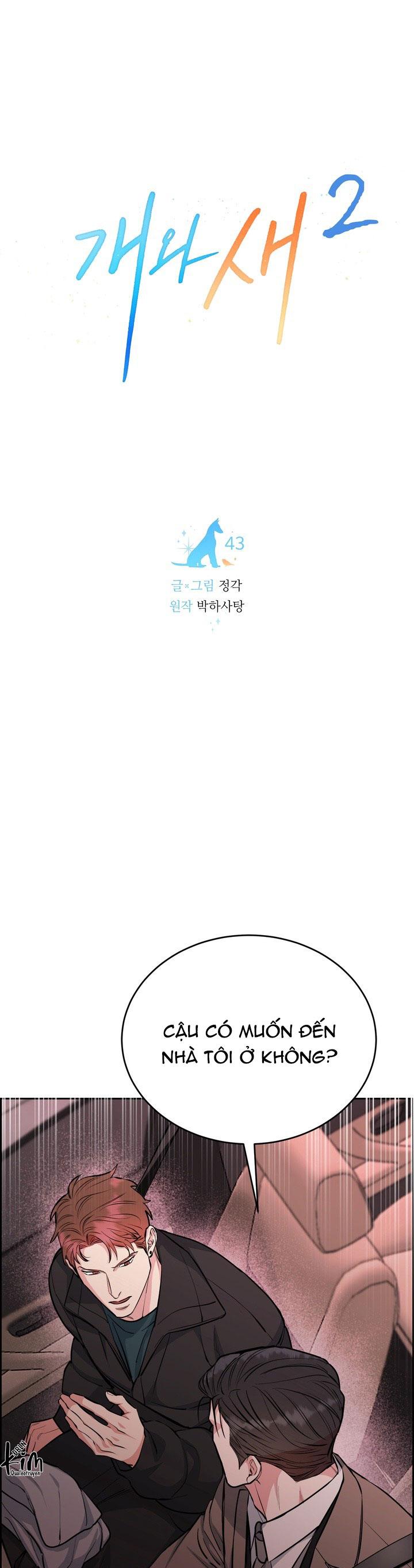 Đọc truyện CHÓ VÀ CHIM - Chapter 43