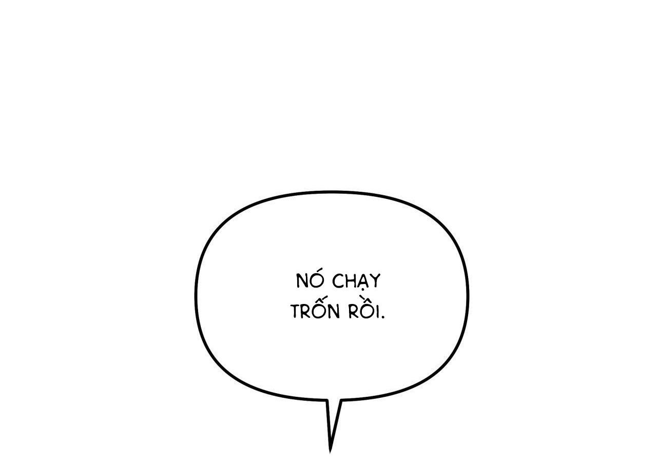 Đọc truyện  Cây Không Có Rễ - Chapter 51