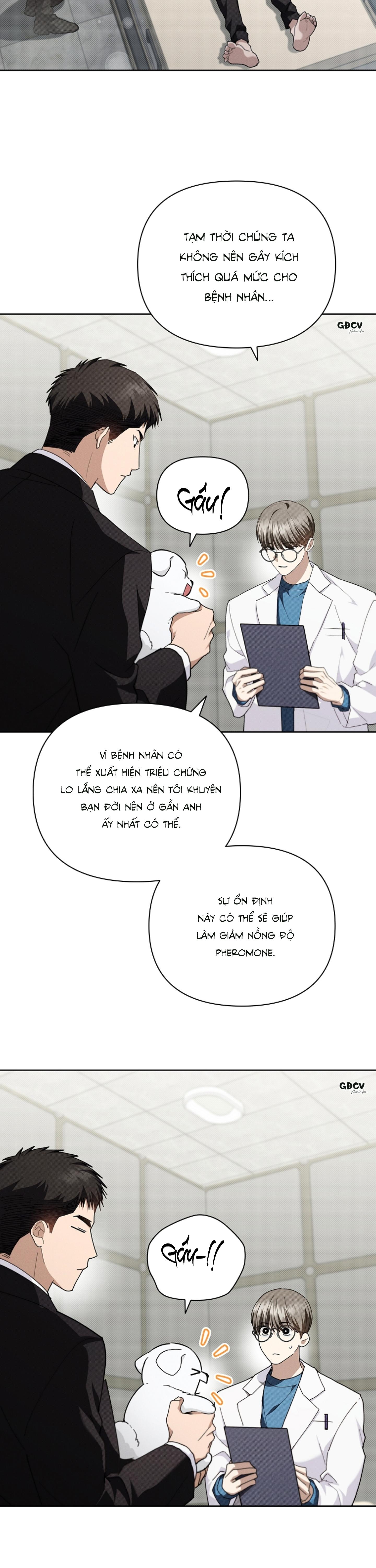 Đọc truyện ĐỪNG CHẠM VÀO CÚN CON CỦA TÔI - Chapter 21