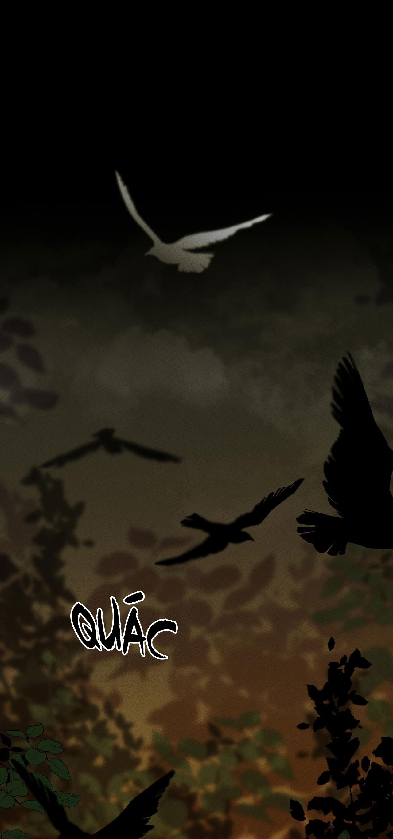 Đọc truyện BL CỔ TRANG-ÂU CỔ NGẮN NHÀ KIM - Chapter 39.1