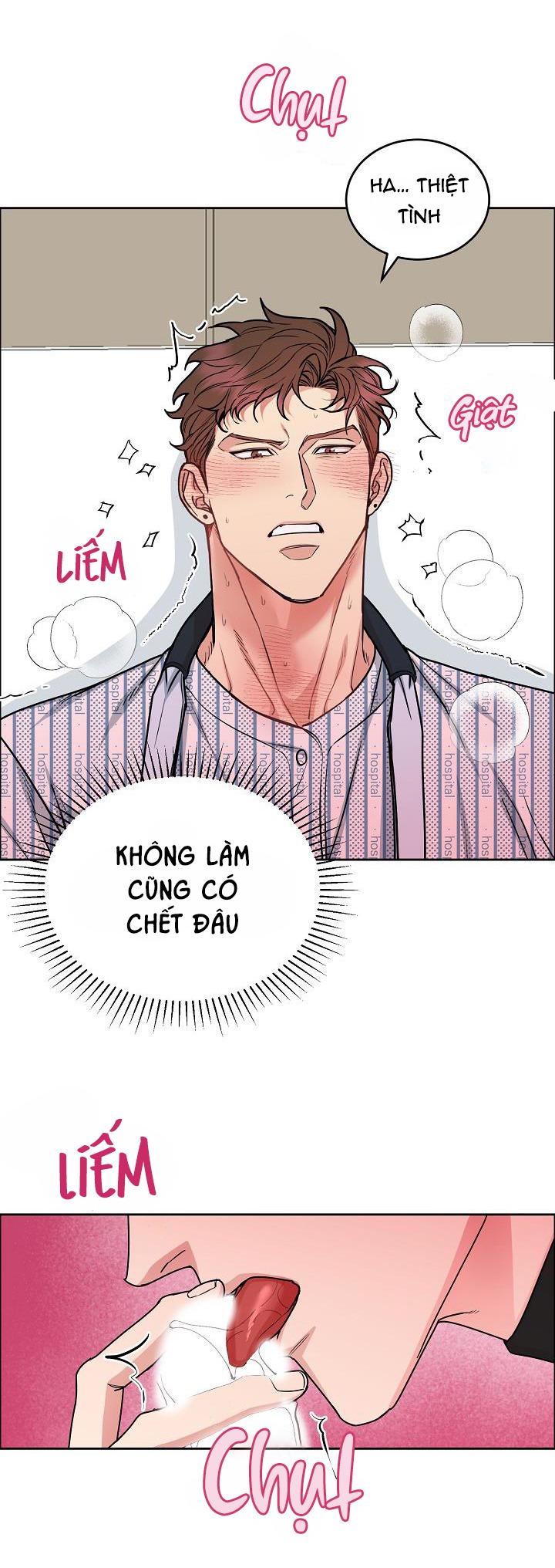 Đọc truyện CHÓ VÀ CHIM - Chapter 16