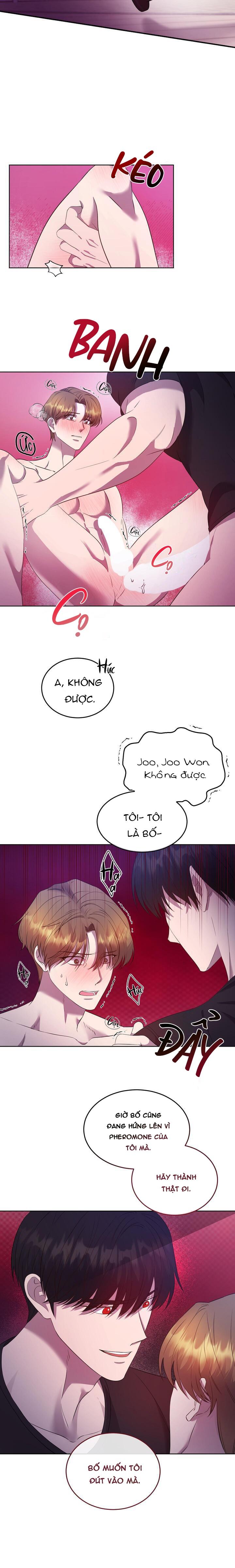 Đọc truyện New alpha son, old omega father - Chapter 2
