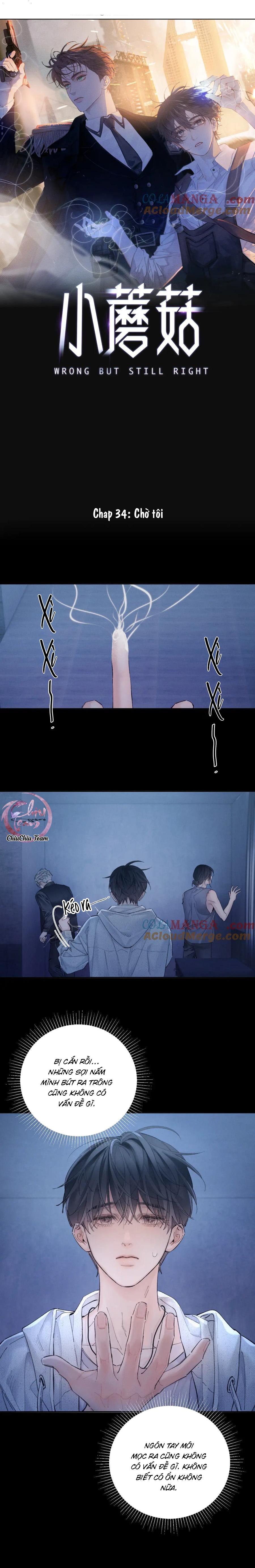 Đọc truyện Cây Nấm Nhỏ - Chapter 34