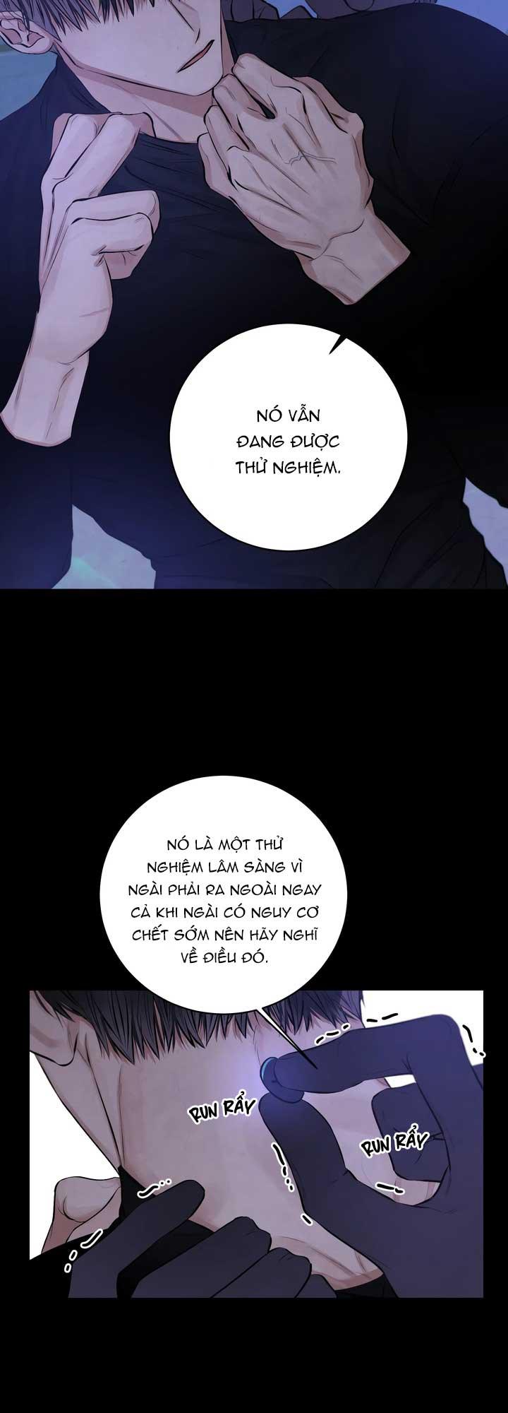 Đọc truyện VẤP NGÃ BỞI CÁI TÔI - Chapter 3