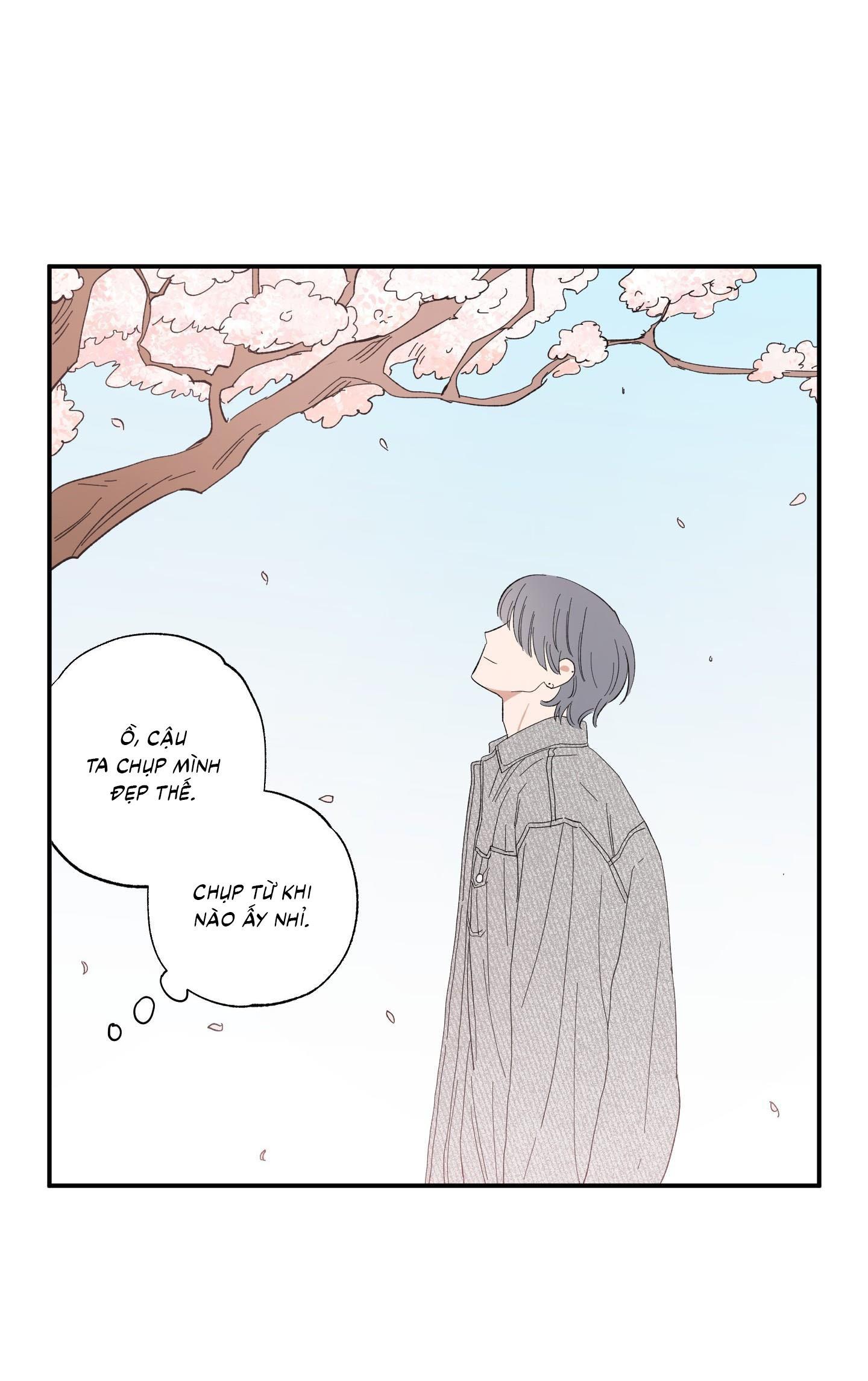 Đọc truyện  Điểm Hẹn Tình Đơn Phương - Chapter 13